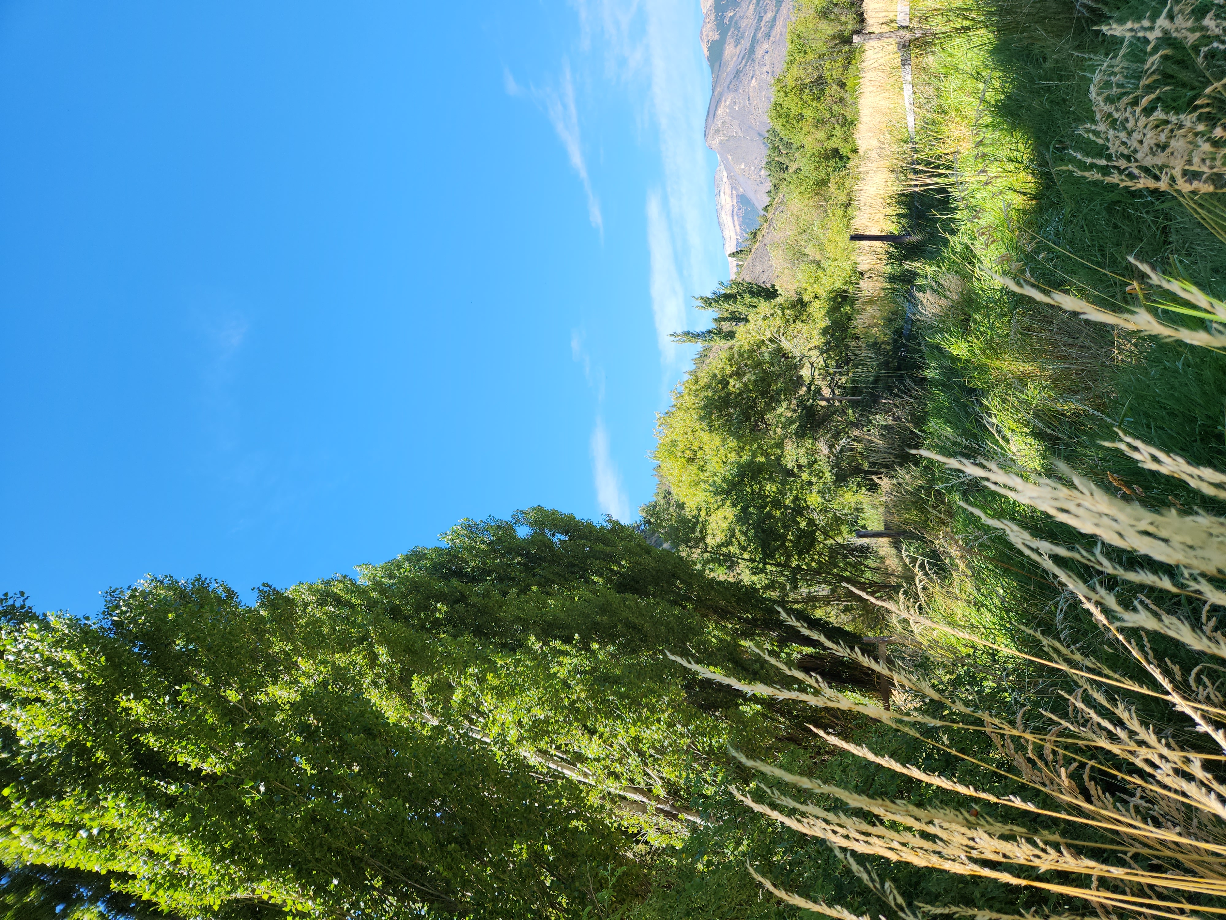 Potential building site on the land near the river