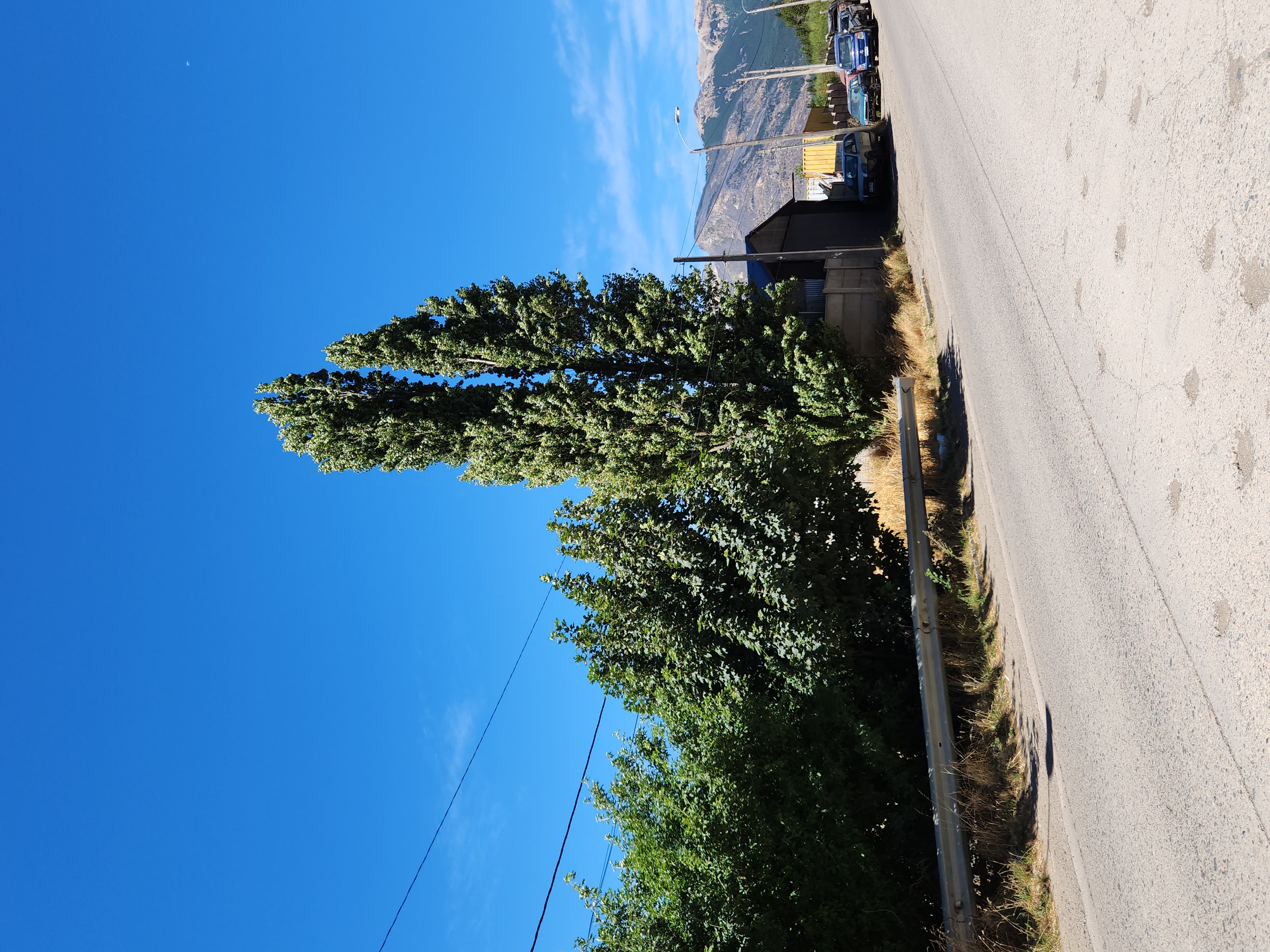 Scenic view from the riverfront land