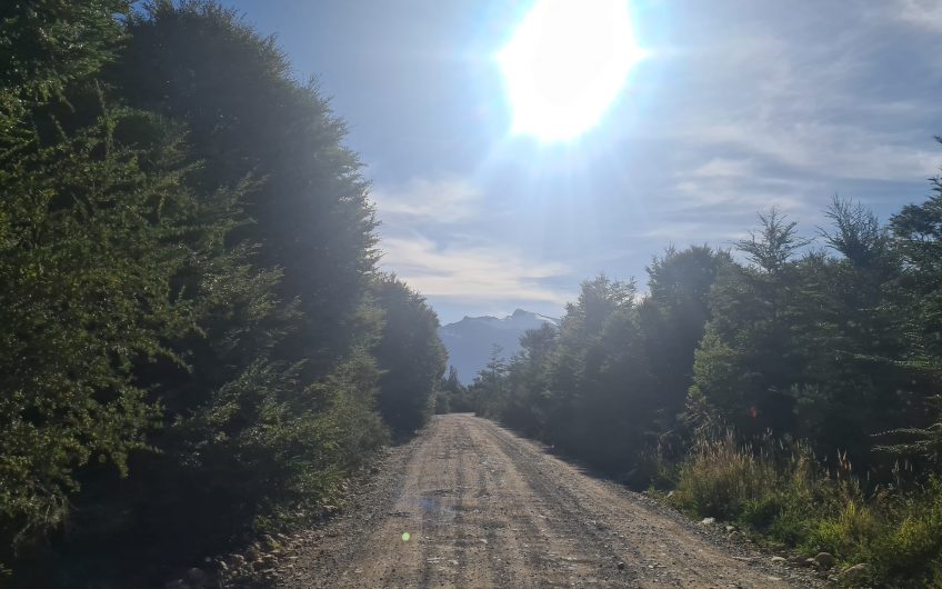 SE VENDE PARCELAS EN SECTOR RIO ALVAREZ COMUNA AYSEN.