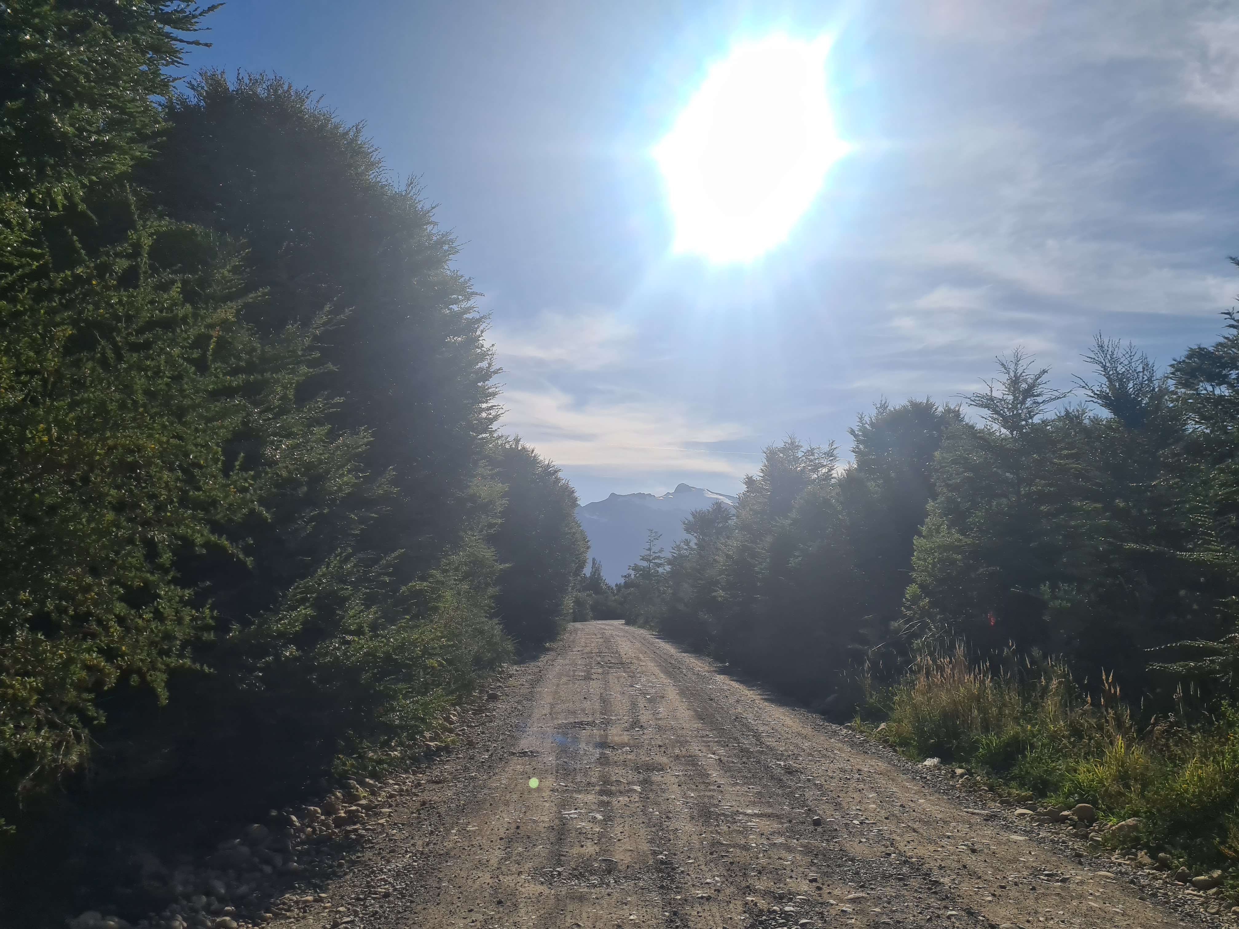 Image of the surrounding nature near the land parcel in Puerto Aysen