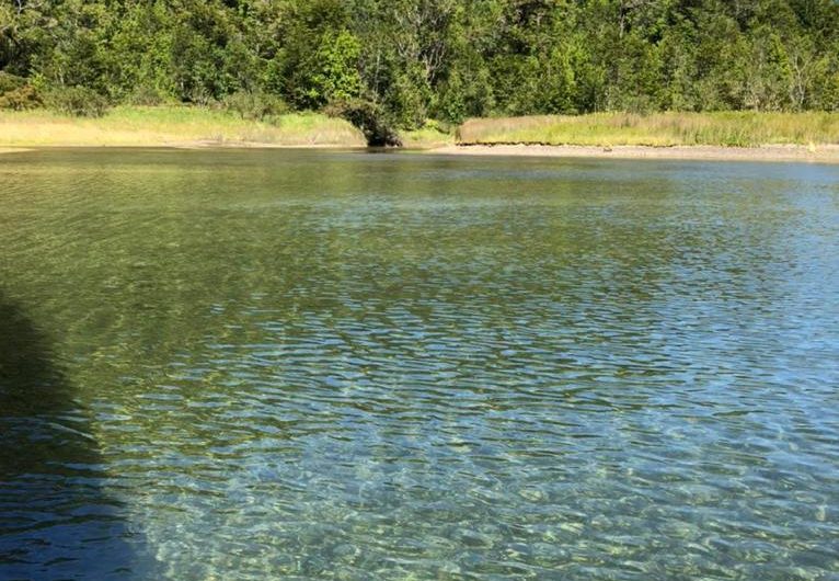 SE VENDE TERRENO DE 3 HECTÁREAS EN SECTOR BAHIA PLAYAS BLANCAS                                    FIORDO AYSÉN – PATAGONIA CHILENA
