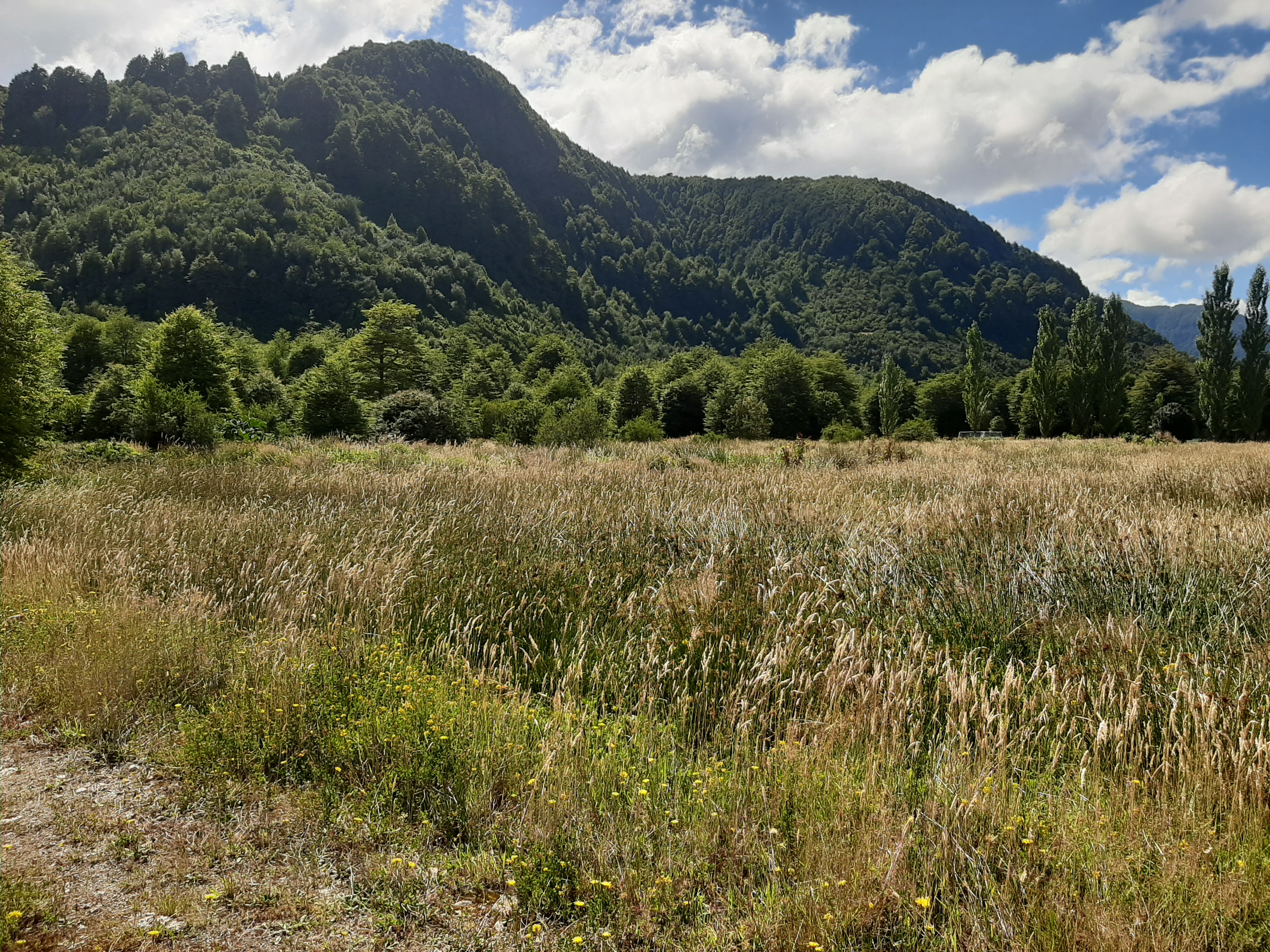 Close-up of the house's architectural details