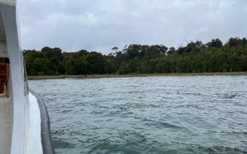 SE VENDE 9,3 ha EN LA COMUNA DE CISNE – PATAGONIA CHILENA