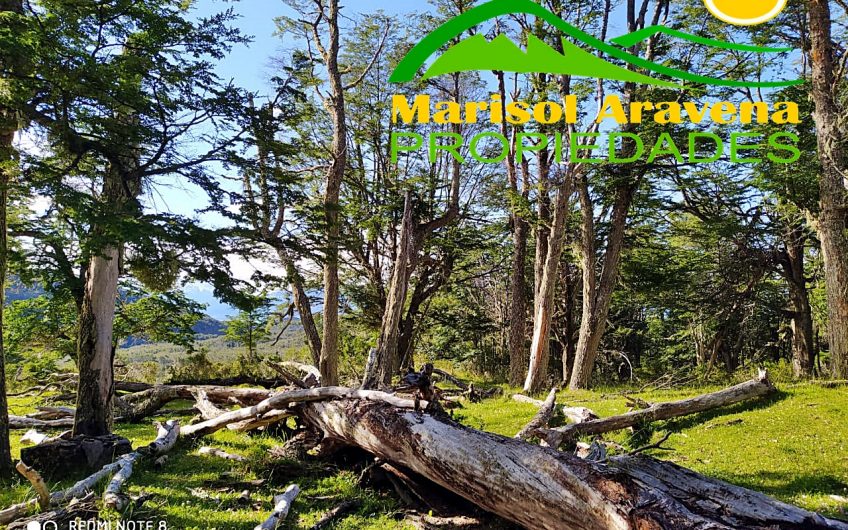 🌿 SE VENDE TERRENO EN PATAGONIA CHILENA  5 HECTÁREAS EN PUERTO GUADAL 🌿