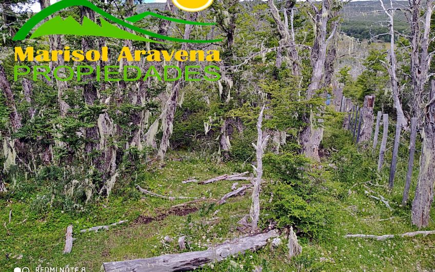 🌿 SE VENDE TERRENO EN PATAGONIA CHILENA  5 HECTÁREAS EN PUERTO GUADAL 🌿