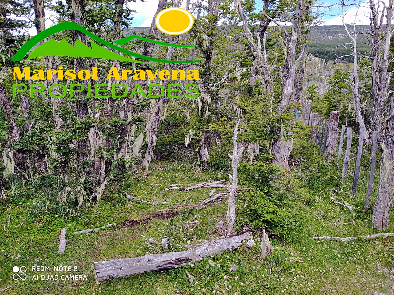 Potential building site on the land in Puerto Guadal