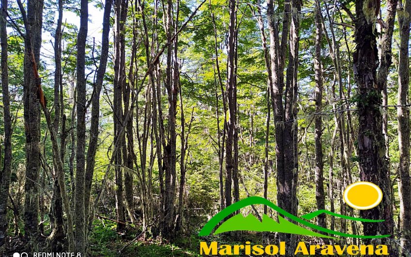 🌿 SE VENDE TERRENO EN PATAGONIA CHILENA  5 HECTÁREAS EN PUERTO GUADAL 🌿