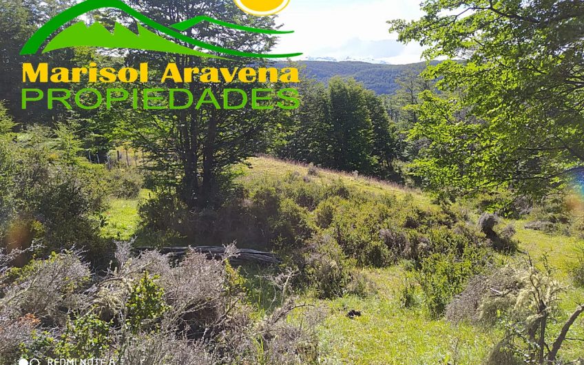 🌿 SE VENDE TERRENO EN PATAGONIA CHILENA  5 HECTÁREAS EN PUERTO GUADAL 🌿