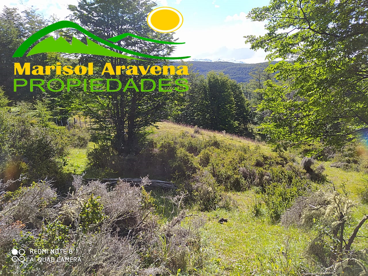 Lake view from the land in Puerto Guadal