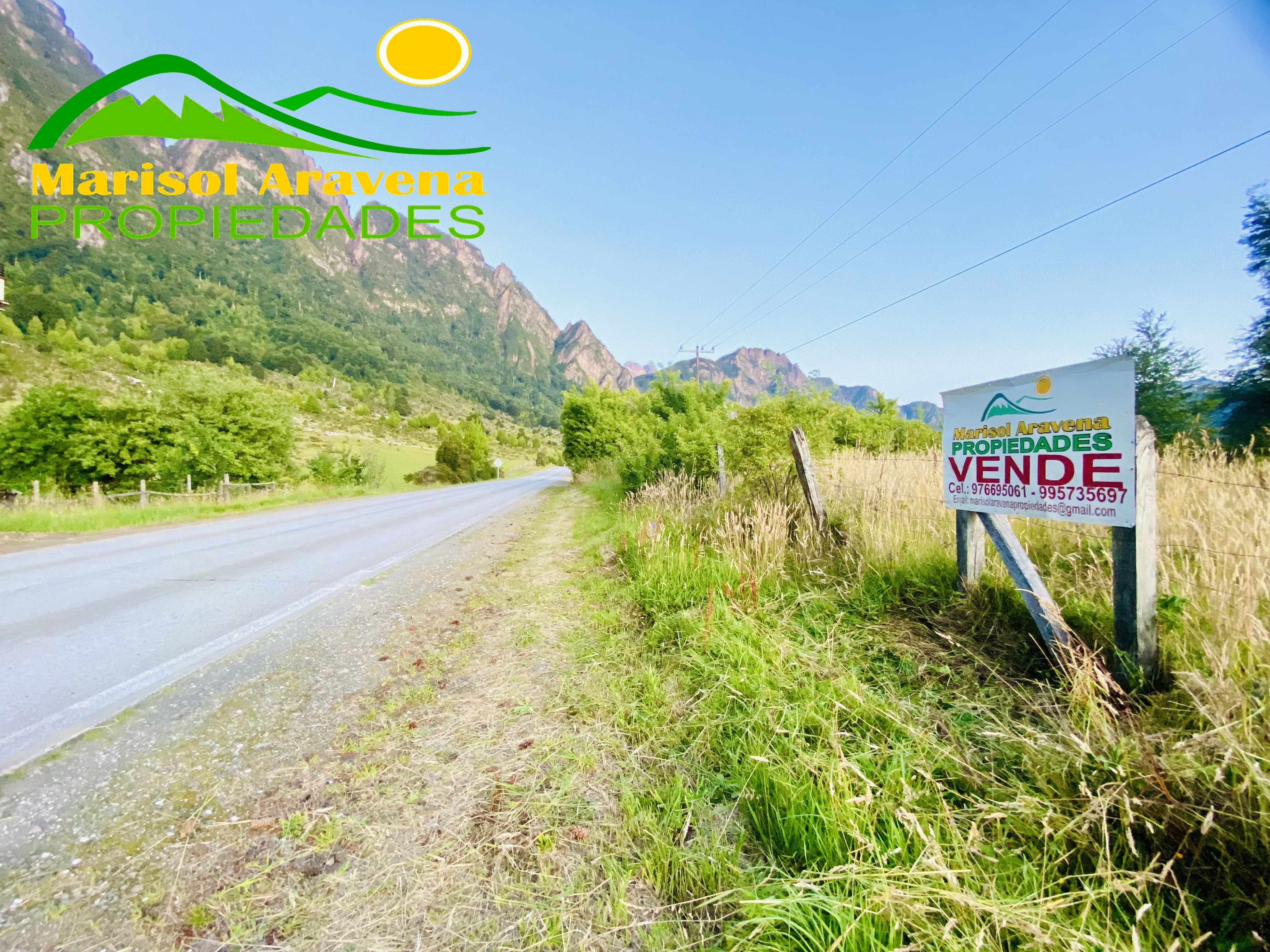 Rolling hills and meadows of the property