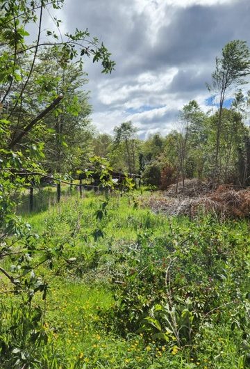 SE VENDE PARCELA DE 5000 m2