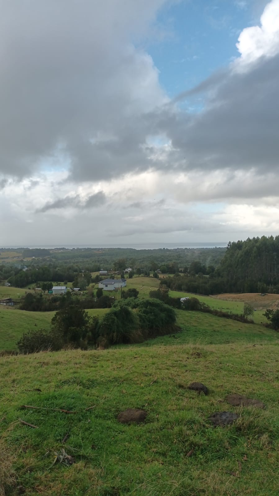  SE VENDE PARCELA DE 1,29 Hectárea. En La Provincia de Chiloé.