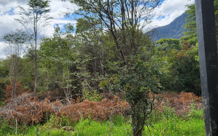 SE VENDE PARCELA DE 5000 m2