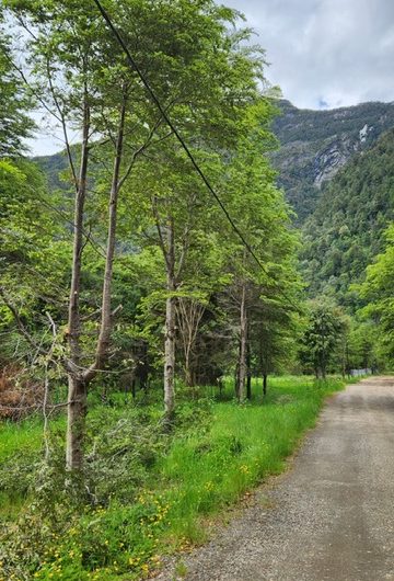 SE VENDE PARCELA DE 5000 m2