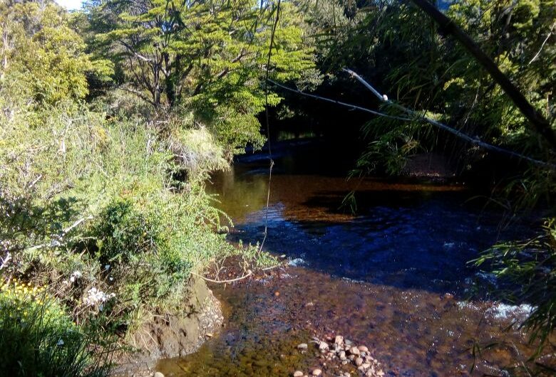 🌿 SE VENDE  1 HECTÁREA CON RÍO EN LA COMUNA DE AYSÉN 🌿