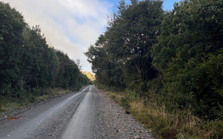🌿 SE VENDE  1 HECTÁREA CON RÍO EN LA COMUNA DE AYSÉN 🌿