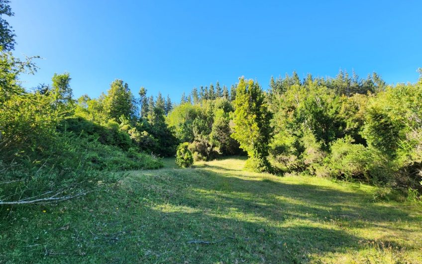SE VENDE TERRENO DE 21,87 HECTAREAS VALDIVIA REGION DE LOS RIOS – CHILE.