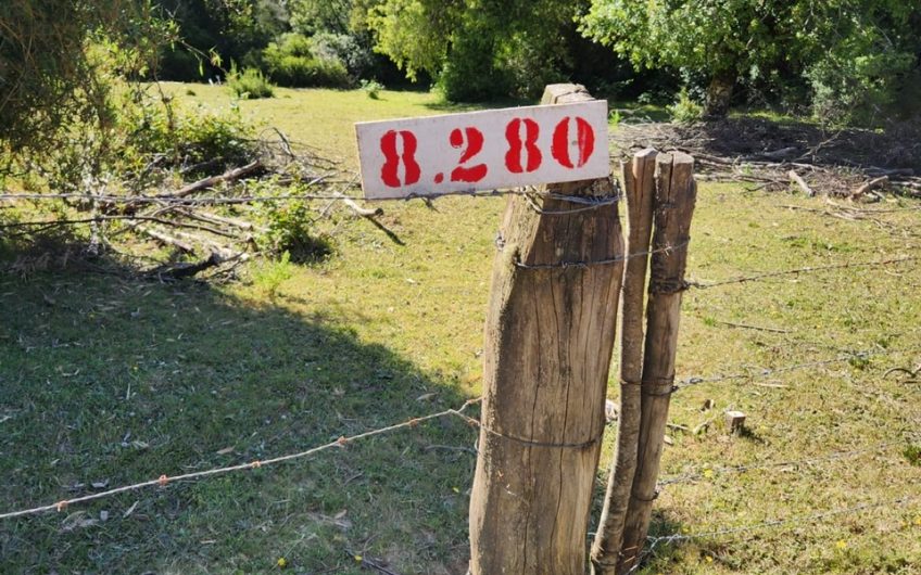 SE VENDE TERRENO DE 21,87 HECTAREAS VALDIVIA REGION DE LOS RIOS – CHILE.
