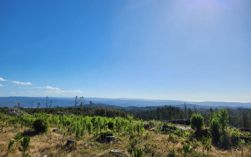 SE VENDE TERRENO DE 21,87 HECTAREAS VALDIVIA REGION DE LOS RIOS – CHILE.