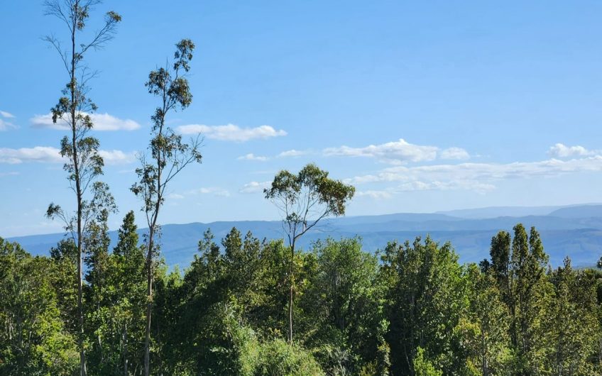SE VENDE TERRENO DE 21,87 HECTAREAS VALDIVIA REGION DE LOS RIOS – CHILE.