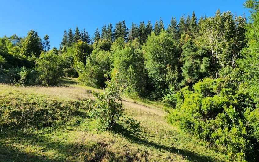 SE VENDE TERRENO DE 21,87 HECTAREAS VALDIVIA REGION DE LOS RIOS – CHILE.