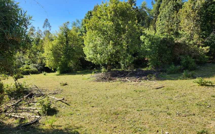 SE VENDE TERRENO DE 21,87 HECTAREAS VALDIVIA REGION DE LOS RIOS – CHILE.