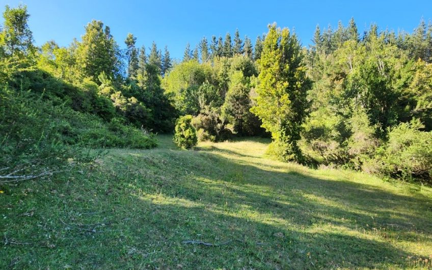 SE VENDE TERRENO DE 21,87 HECTAREAS VALDIVIA REGION DE LOS RIOS – CHILE.