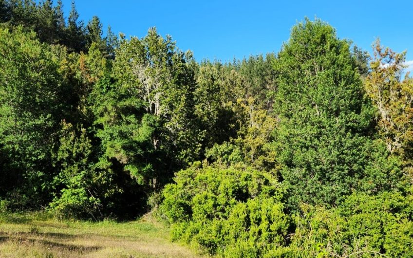 SE VENDE TERRENO DE 21,87 HECTAREAS VALDIVIA REGION DE LOS RIOS – CHILE.