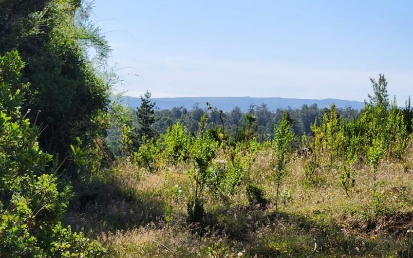 SE VENDE TERRENO DE 21,87 HECTAREAS VALDIVIA REGION DE LOS RIOS – CHILE.