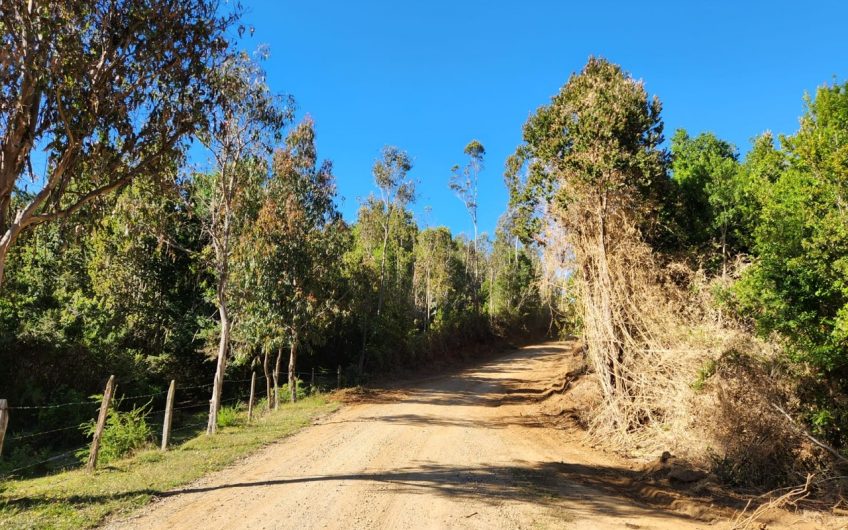 SE VENDE TERRENO DE 21,87 HECTAREAS VALDIVIA REGION DE LOS RIOS – CHILE.