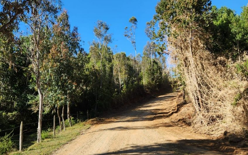 SE VENDE TERRENO DE 21,87 HECTAREAS VALDIVIA REGION DE LOS RIOS – CHILE.
