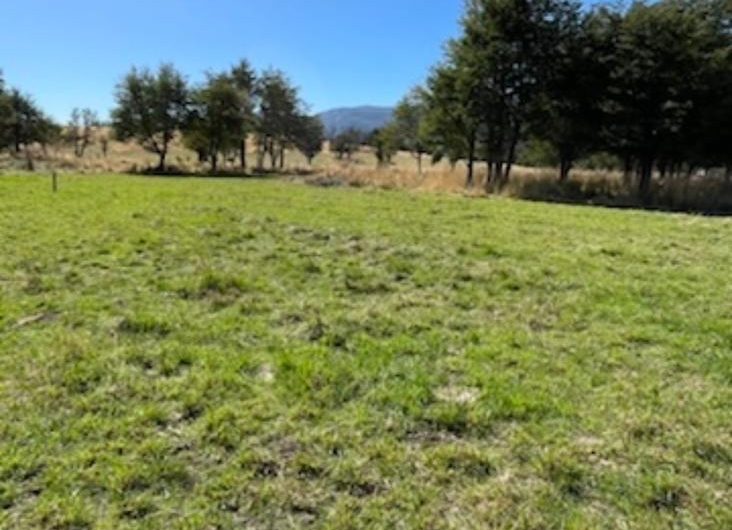 SE VENDE TERRENO A CERCANÍAS DE COYHAIQUE.