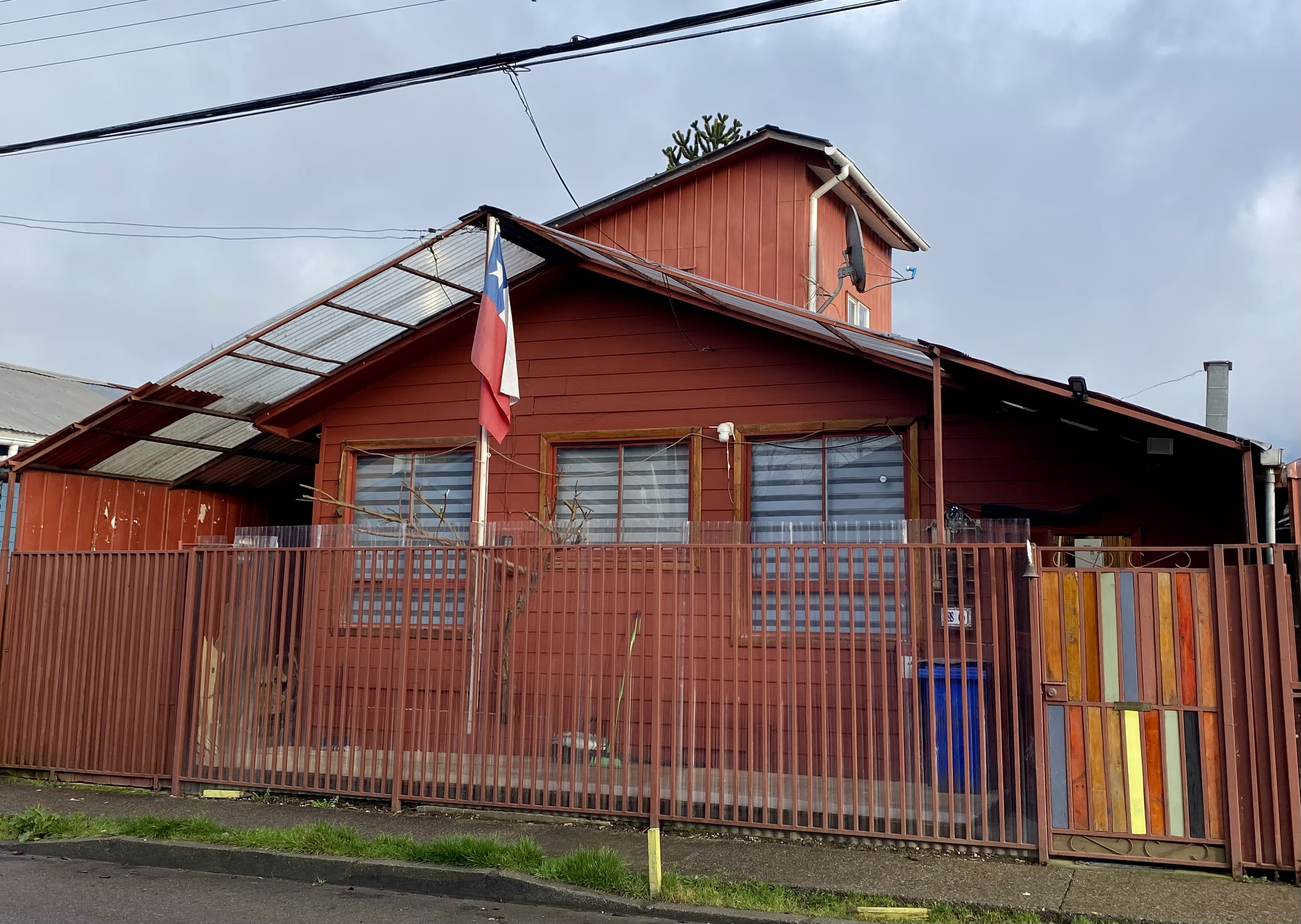 Landscaping around the house with plants and flowers