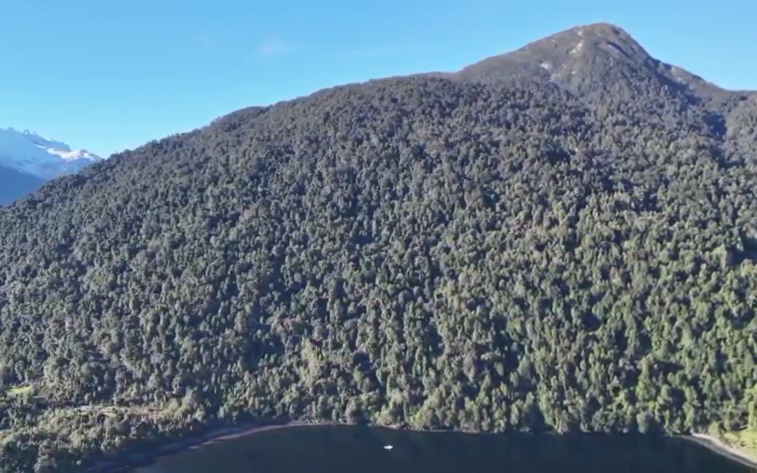 🌿 EXCLUSIVO CAMPO EN EL CANAL PUYUHUAPI – SECTOR SENO QUEULAT🌿
