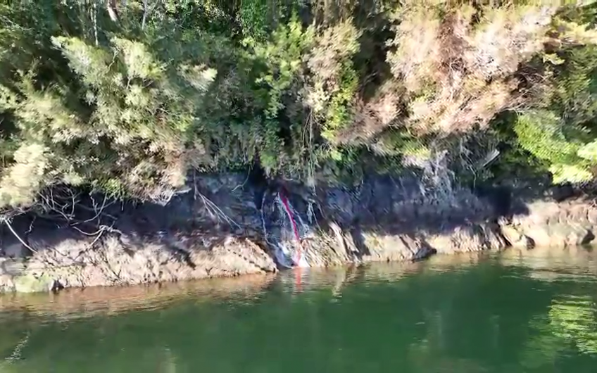 🌿 EXCLUSIVO CAMPO EN EL CANAL PUYUHUAPI – SECTOR SENO QUEULAT🌿