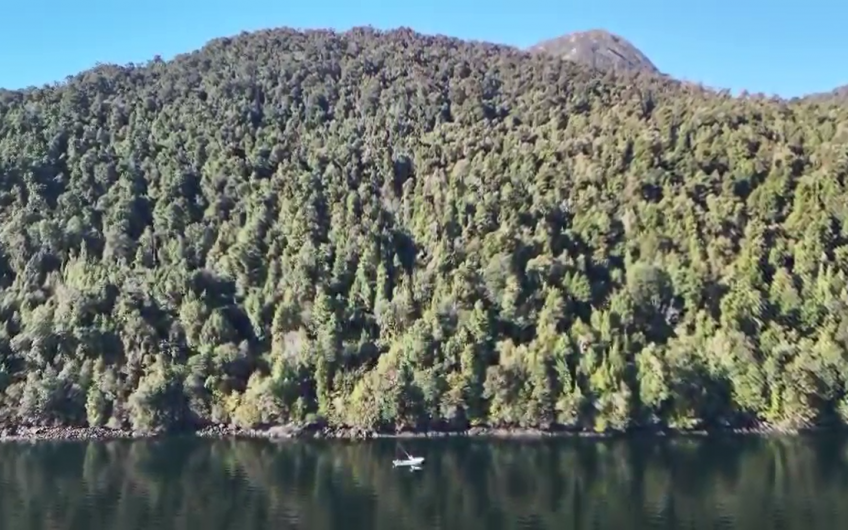 🌿 EXCLUSIVO CAMPO EN EL CANAL PUYUHUAPI – SECTOR SENO QUEULAT🌿