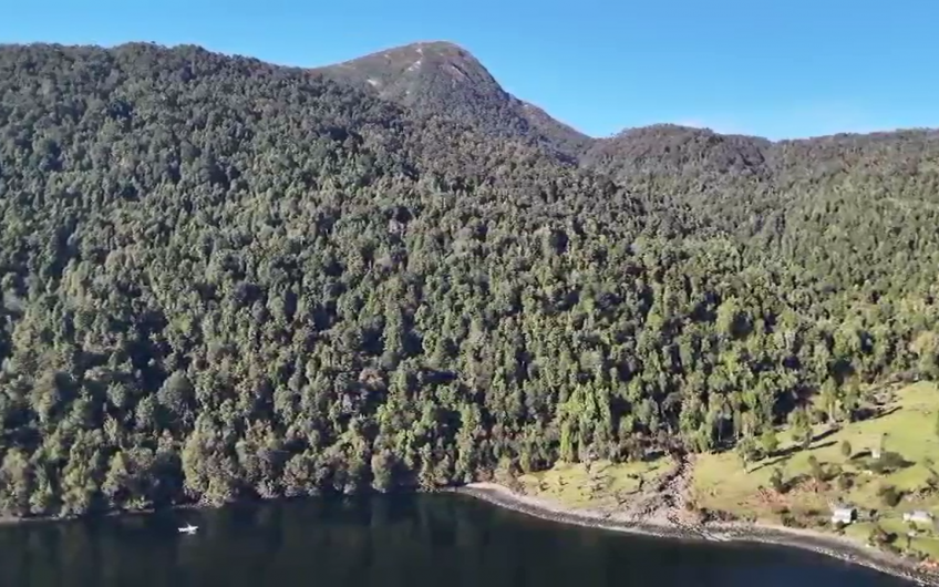 🌿 EXCLUSIVO CAMPO EN EL CANAL PUYUHUAPI – SECTOR SENO QUEULAT🌿
