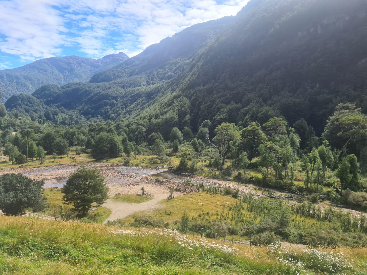 Terreno en Venta – 50 ha. en la Patagonia Chilena