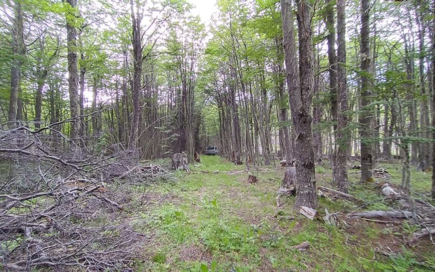 🌿 SE VENDE PARCELA DE 5000 m2 🌿