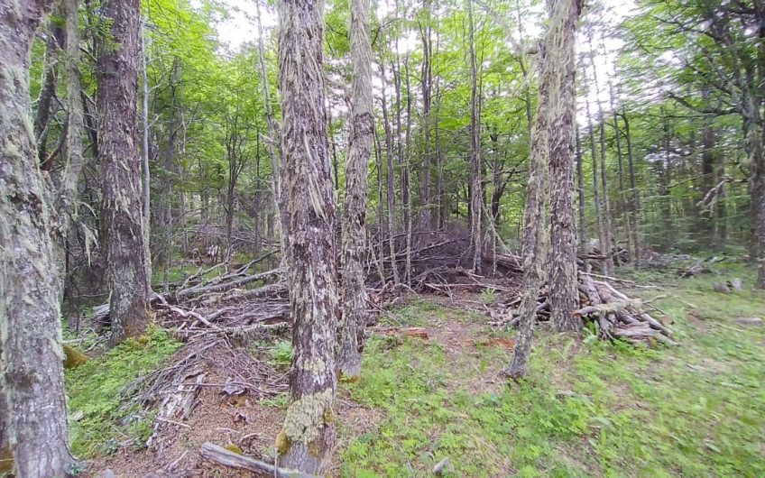 🌿 SE VENDE PARCELA DE 5000 m2 🌿