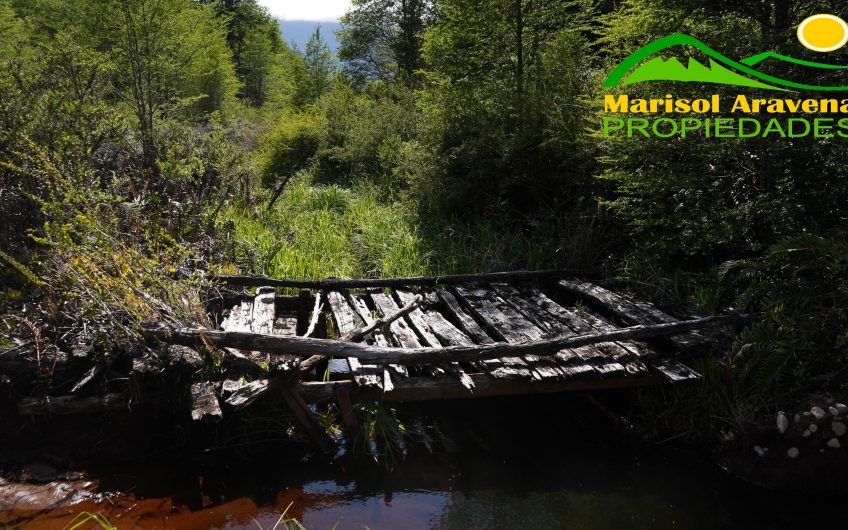 🌿 SE VENDEN LOTES DE PARCELAS EN RESERVA RIBERA PANGAL: LA VIDA QUE SUEÑAS EN PUERTO AYSÉN 🌿