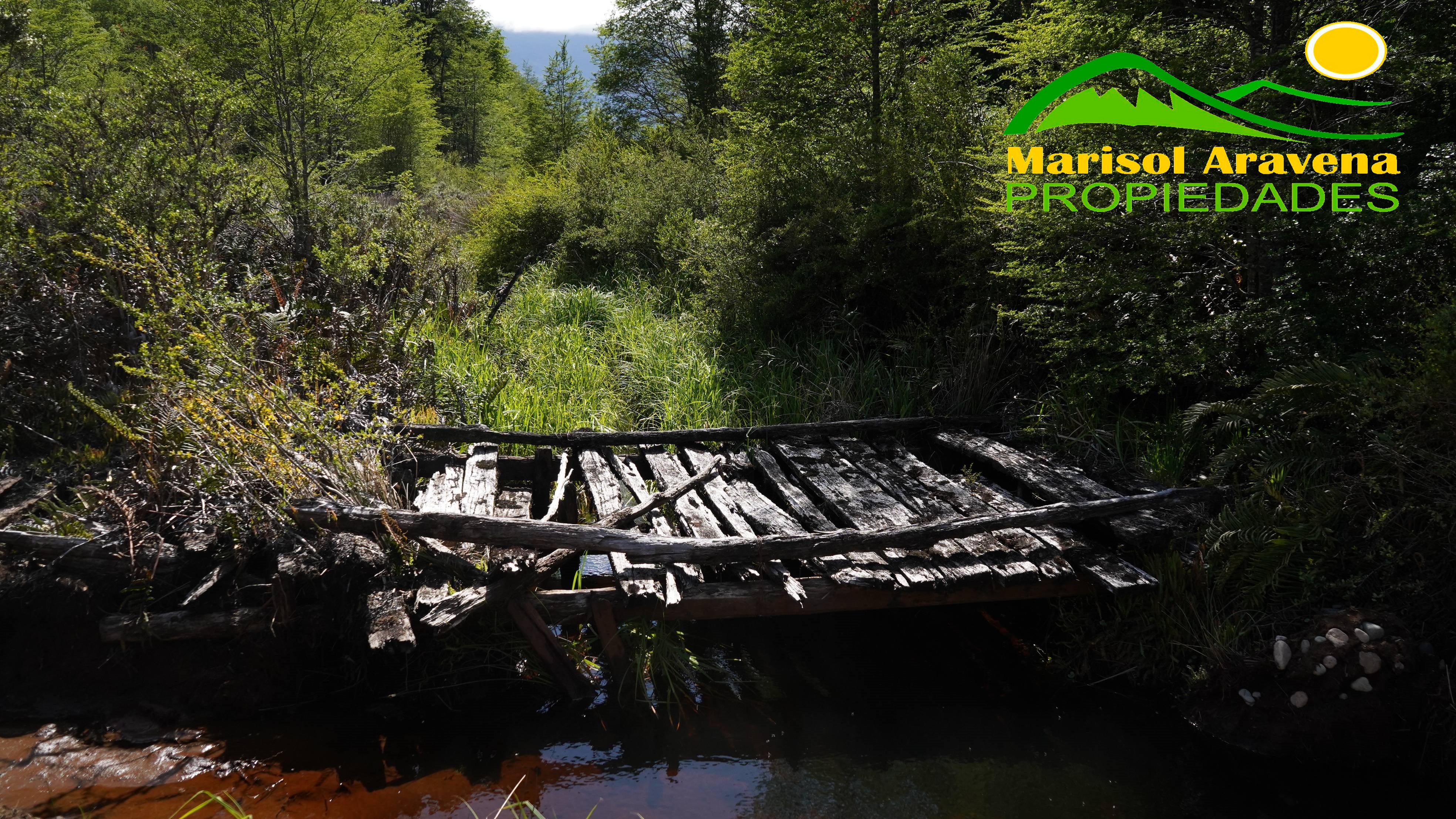 A wide angle shot of the parcela in Puerto Aysen.