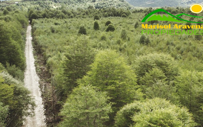 🌿 SE VENDEN LOTES DE PARCELAS EN RESERVA RIBERA PANGAL: LA VIDA QUE SUEÑAS EN PUERTO AYSÉN 🌿