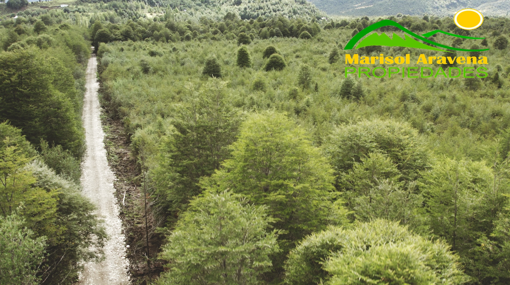 🌿 SE VENDEN LOTES DE PARCELAS EN RESERVA RIBERA PANGAL: LA VIDA QUE SUEÑAS EN PUERTO AYSÉN 🌿