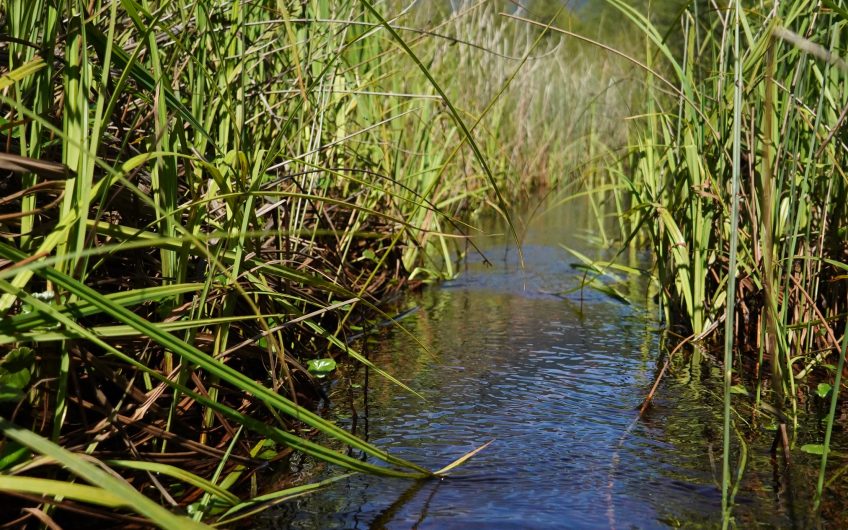 🌿 SE VENDEN LOTES DE PARCELAS EN RESERVA RIBERA PANGAL: LA VIDA QUE SUEÑAS EN PUERTO AYSÉN 🌿