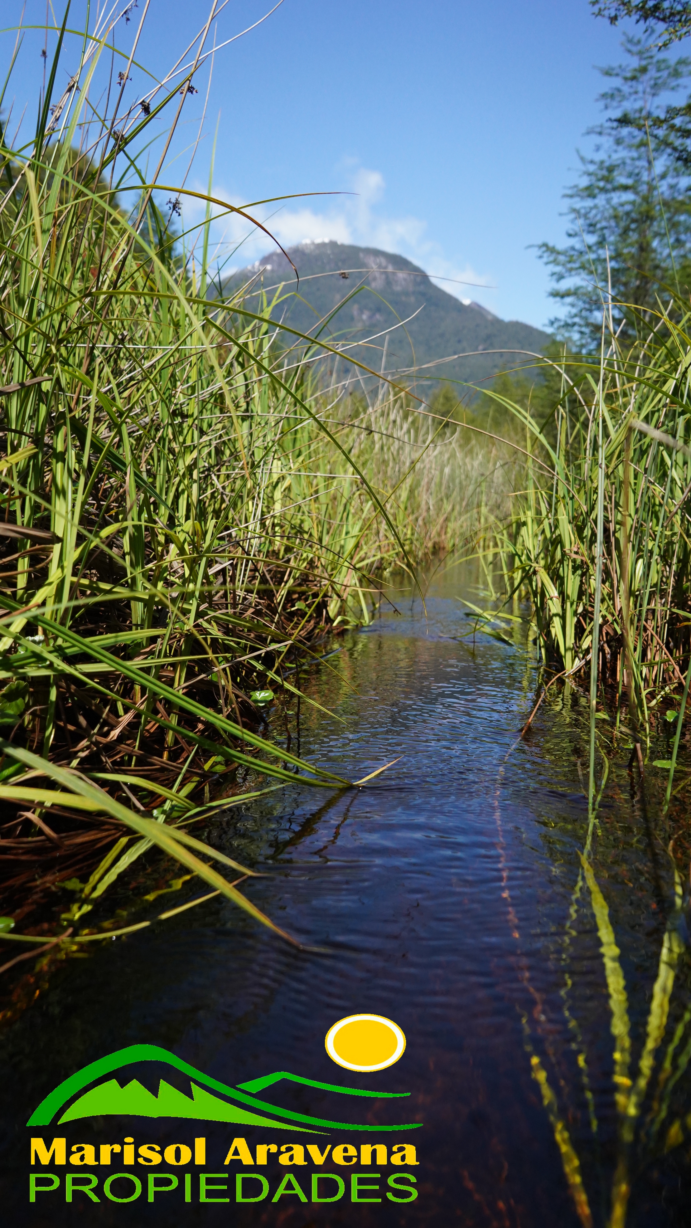 A view of the surrounding neighborhood in Puerto Aysen.