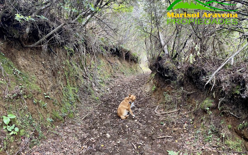 🌿 Terreno único en El Turbio, a 1 km de Puerto Aysén. 🌿