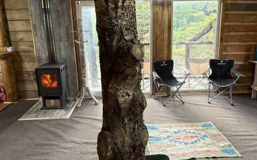 🏔 Se vende parcela de 2,5 ha con cabaña a orillas del río cóndor 🏔