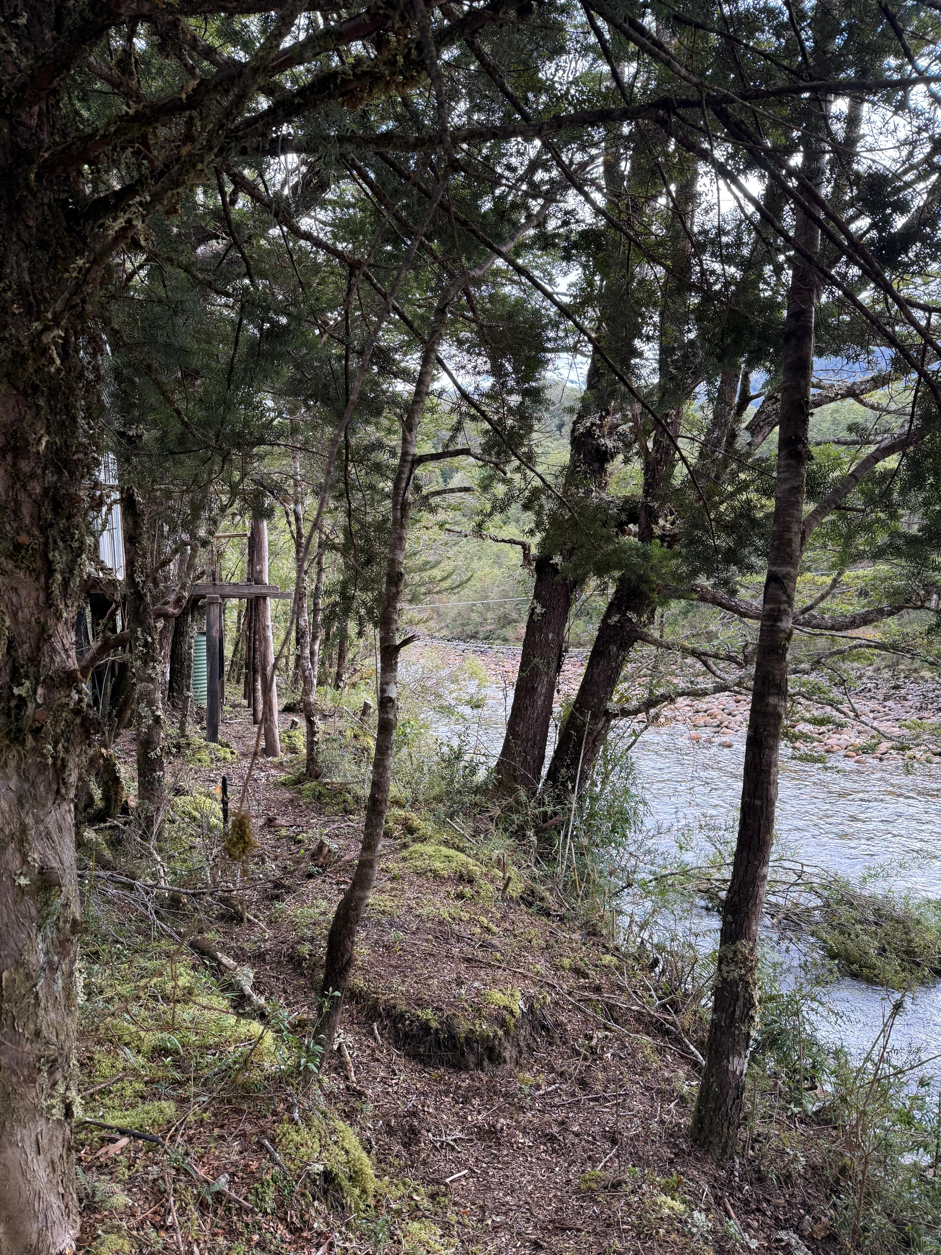 Image of the natural vegetation and wildlife on the land