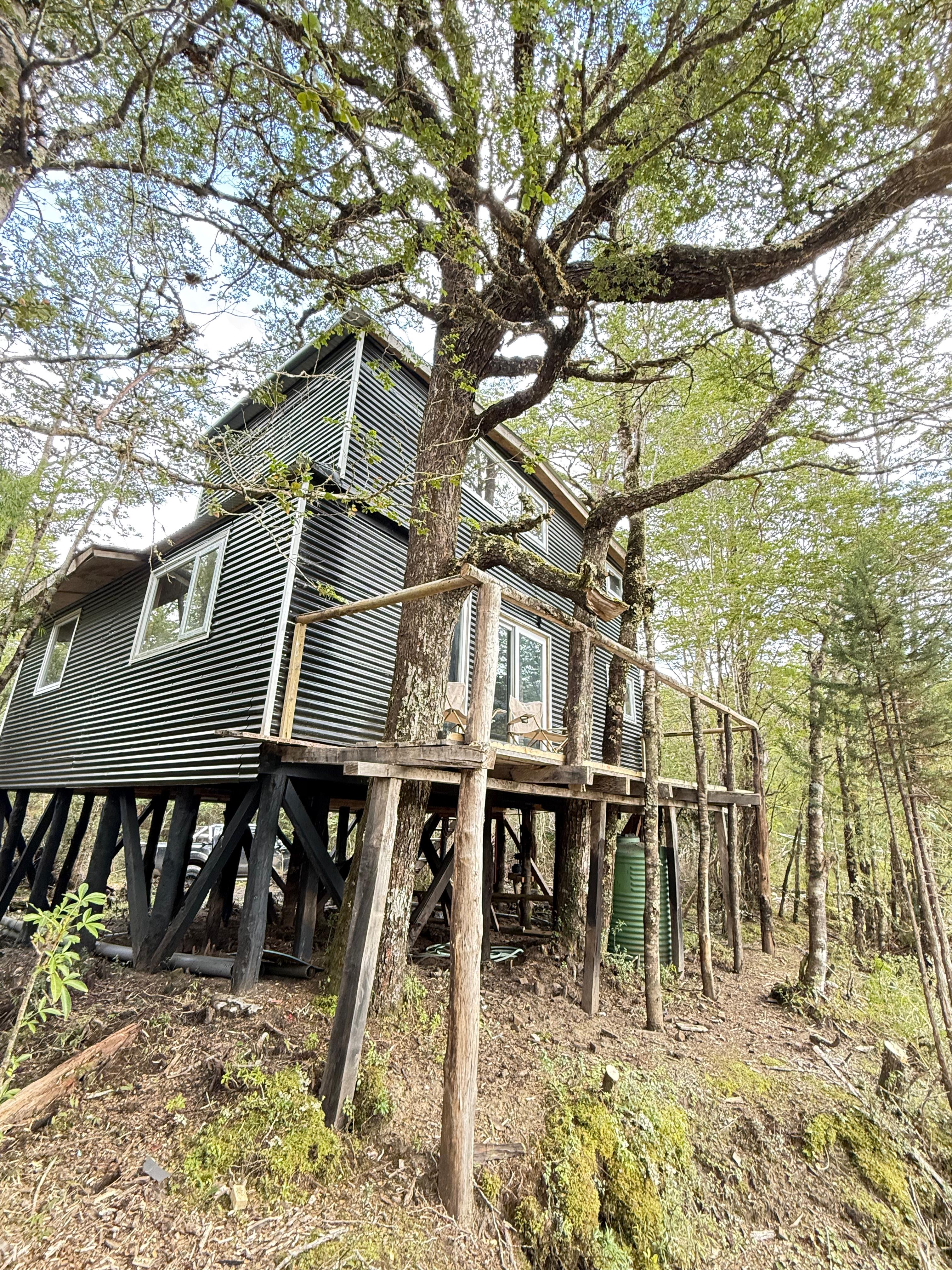 Image showcasing the cabin's integration with the natural environment